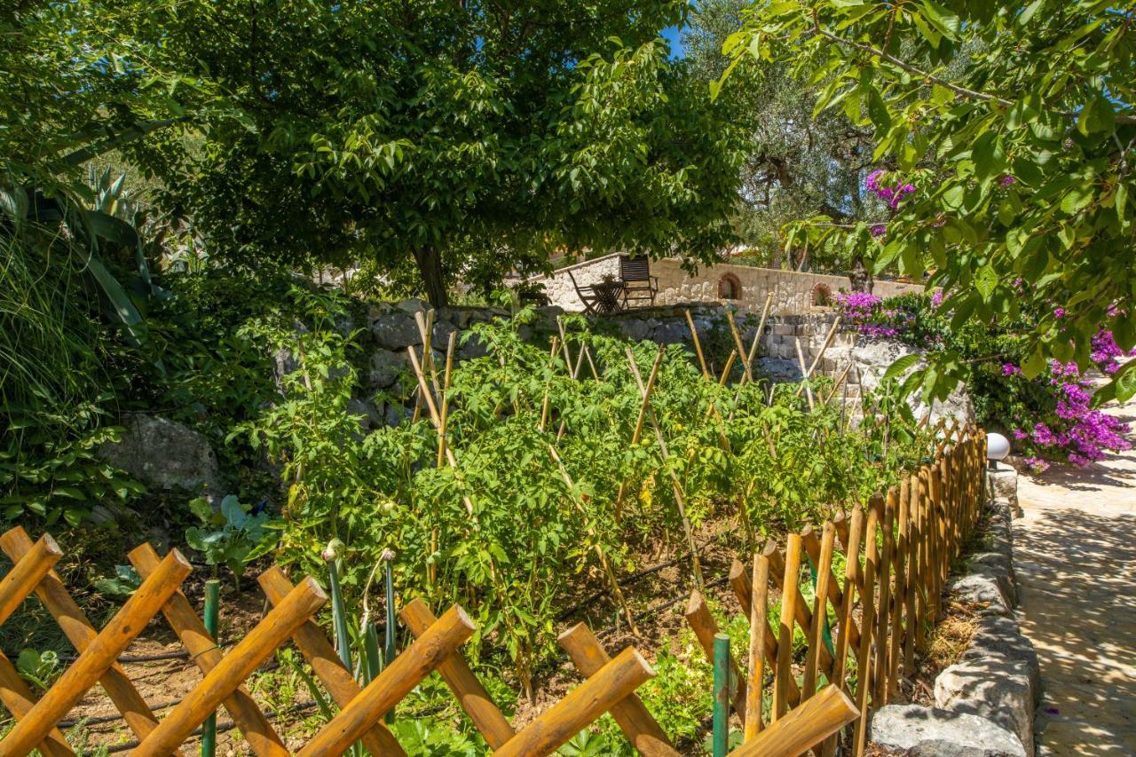 Etno House Wagner Villa Ploce  Exterior photo